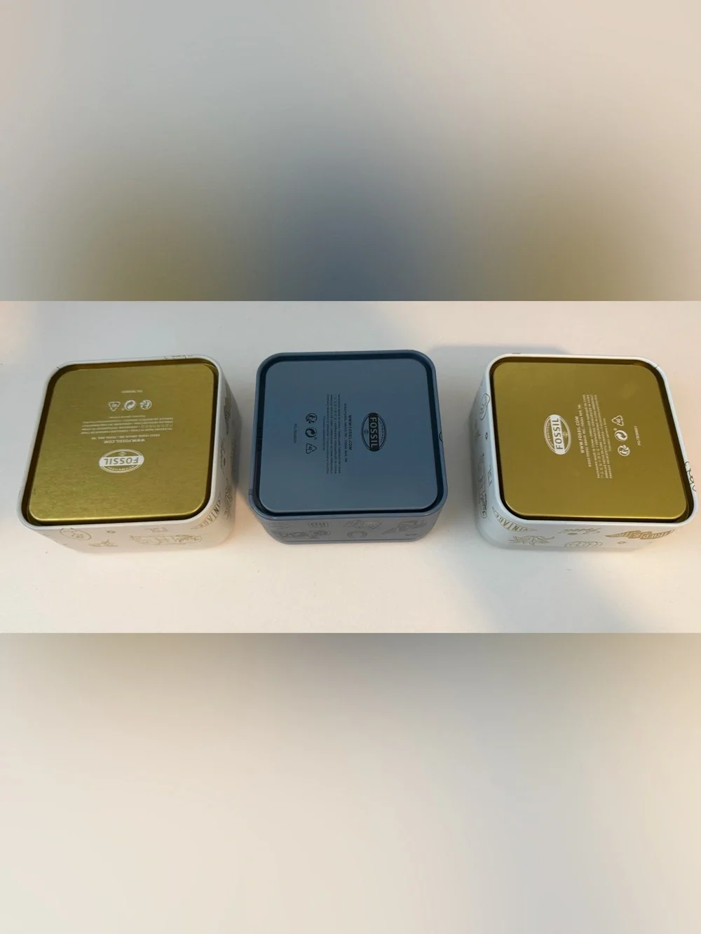 Fossil Trinket Tins ( 3 tins)
